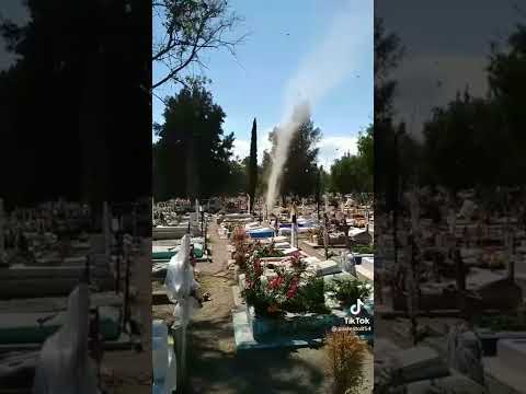 Fenômeno estranho aparece no meio do cemitério