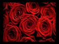 russian, popular, music, (oldies), Alla, Pugacheva ...