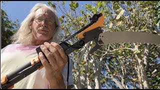How to use the 16 Foot Fiskars Tree Trimming Pole Saw