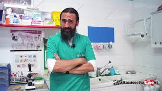 Pulci zecche e zanzare, cosa fare per il nostro cane