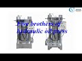 Five Brothers Of Hydraulic Oil Press Hydraulic Oil Press