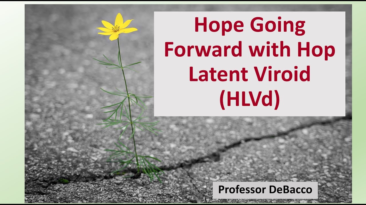 Hope Going Forward with Hop Latent Viroid (HLVd)