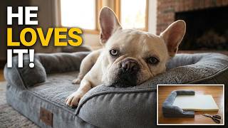Walter's New BedSure Orthopedic Bed Unboxing