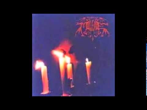 Ravendusk-Shadowcats