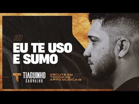EU TE USO E SUMO - Tiaguinho Carvalho (CD Que Assim Seja)