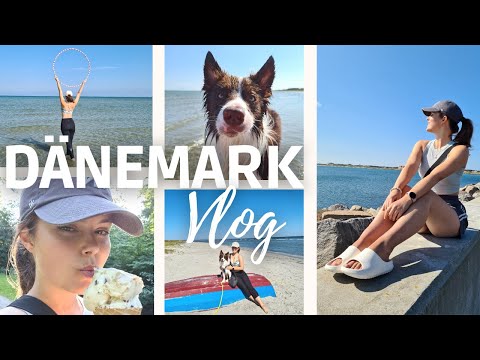 Traumurlaub in Dänemark | Follow Me Around: Urlaubsvlog | Verreisen mit Hund | kriss colours