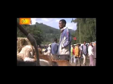 Ethiopian prank What Is THis Guy Doing