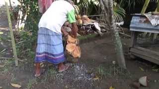 preview picture of video 'how to peel coconuts traditional Sasak Lombok - NTB Indonesia (cara mengupas kelapa khas suku sasak)'