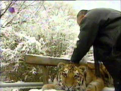 Günter Charell - Der Tigerman - Sat1, Blitz