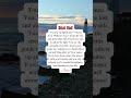 Dear God#God#Lord#shorts #shortvideo #Prayer #Prayers #DailyPrayer #PowerofPrayer #prayertime #Praye