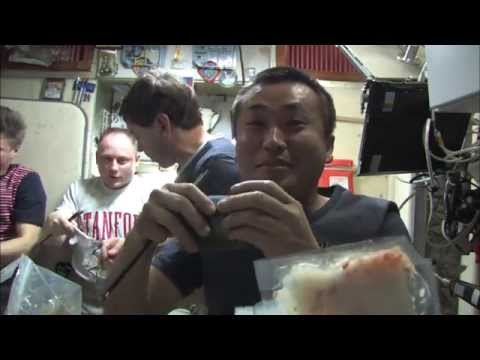 牛のための宇宙飛行士の食事