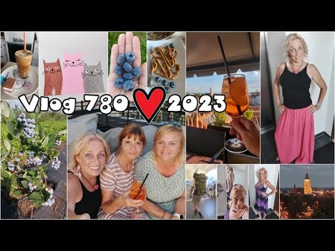 Vlog 780/23 - borůvky, malůvky a kočky na střeše