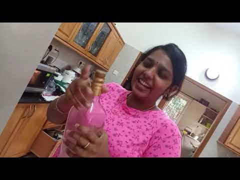 DO NOT TRY THIS AT HOME! | Our First Vlog | Srinithi and Shanu