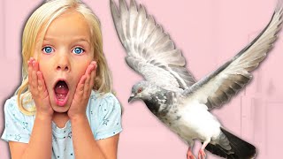 😱Bird in our Bathroom! | Türkiye🇹🇷 4