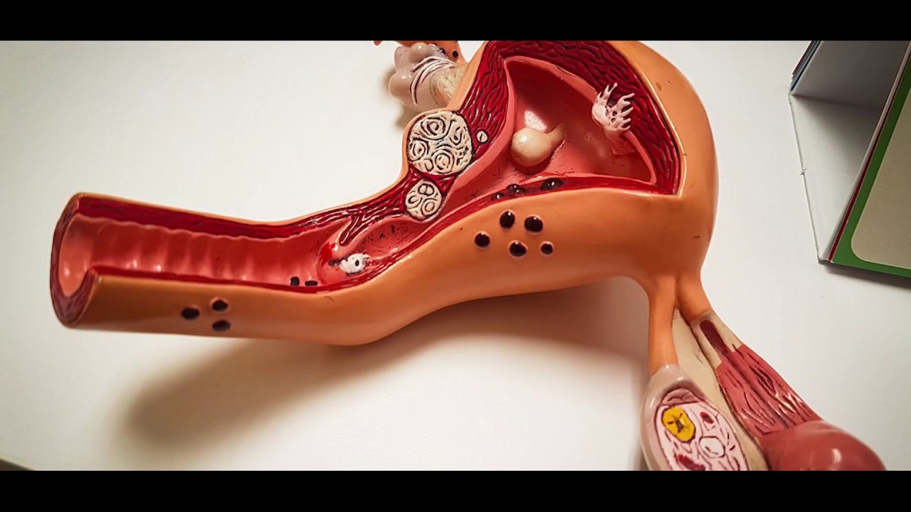 Eliseo Lopez Flores-8