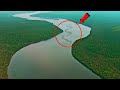 10 Most Dangerous Animals Of Amazon Rainforests