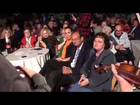 Клейзмеры трио 'Магальник'