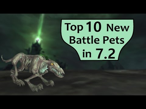 Top 10 New Battle Pets in WoW Patch 7.2