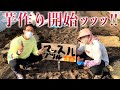 農業スタート!【マッスルグリルファーム芋作り開始!】