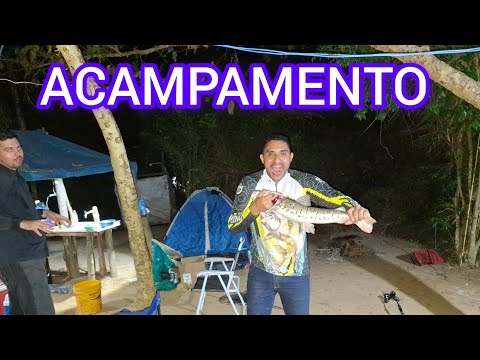ACAMPAMENTO NA BEIRA DO RIO PRAINHA, FLORES DE GOIÁS! MUITO PEIXE E MUITAS AVENTURAS.