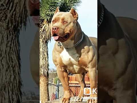 17 de março de 2023