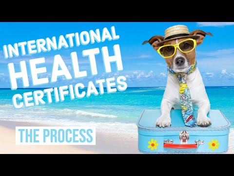 International Health Certificates | Traveling with Pets