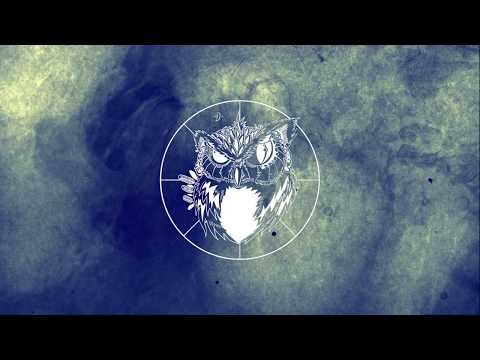 Deibit LDA - Orígenes