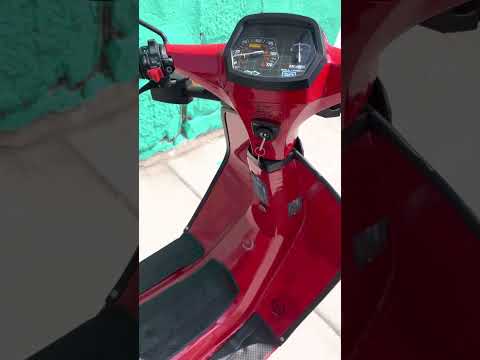 1987 Derbi DS50 walk around and start