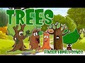 The Finger Family Trees Family Nursery Rhyme Trees Finger Family Rhymes Popular Kids Songs