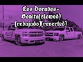 Los Dorados-Bonita (slowed) (rebajado) (reverb)