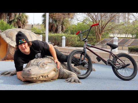 FLORIDA MAN VS GATOR!