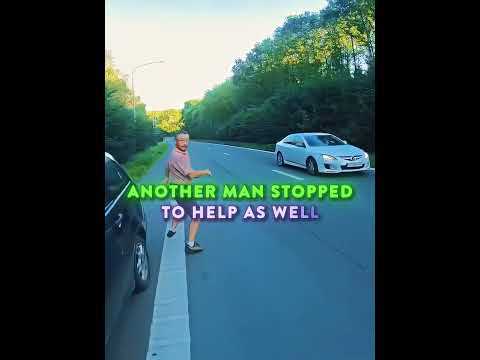 This Biker Saved A Helpless Kitten🩷