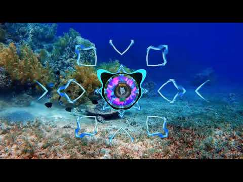 MACON & SOLON Feat. Chacel - Tell Me (After Hour)