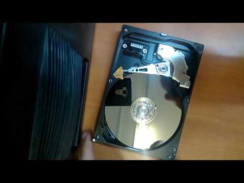 Вскрытие HDD WD Blue 250 Gb