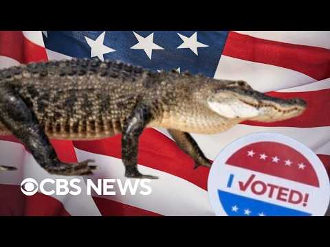 Wildest campaign moments in Florida's primary elections