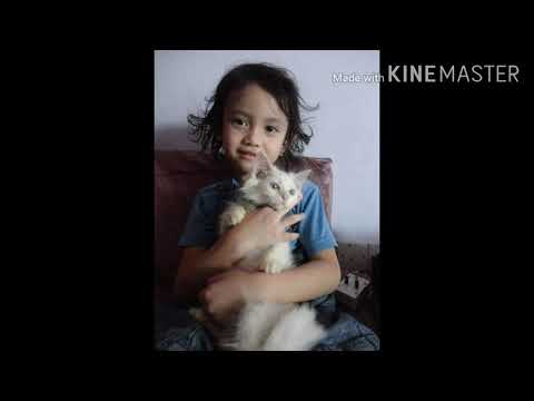 My Princess Shauna Arvella