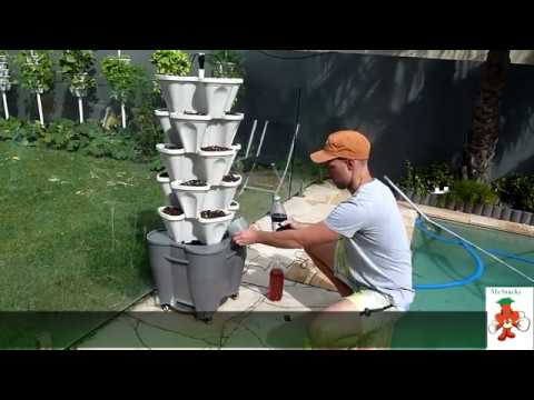 Setting up a Solar Powered Vertical Veggie Patch