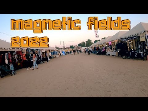 Festival dos Campos Magnéticos, 2022 - Alsisar Mahal