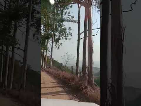 Itaboca. Santa Rita de Jacutinga MG #natureza