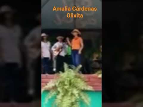 Feria Flor del Espiritu Santo-Las Minas de Herrera.