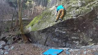 大丹波　無名　初段