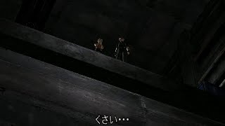 ｈｋｇのバイオハザード４ ノーダメージ縛り2nd（プロフェッショナル）パート２５