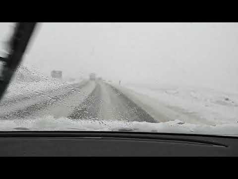 Our first snow of the year #sneg #snow