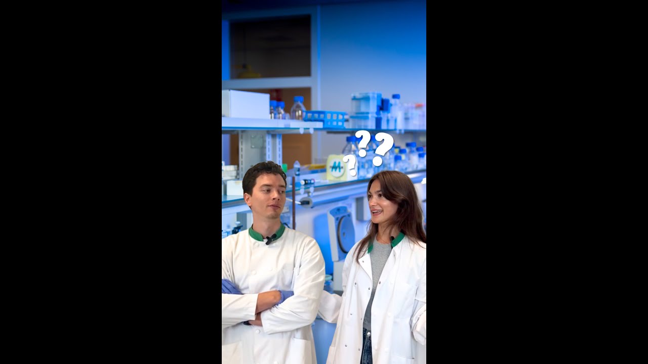 Video: Menselijke spiertjes maken in het spierziektenlab Video: Menselijke spiertjes maken in het spierziektenlab