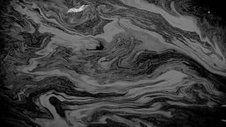 Roll The Dice - The Derailed