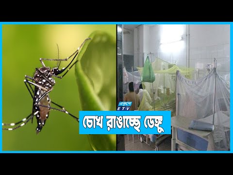 সারাদেশে চোখ রাঙাচ্ছে ডেঙ্গু