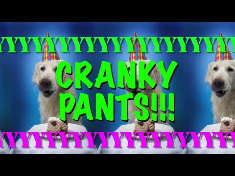 HAPPY BIRTHDAY CRANKY PANTS! - EPIC Happy Birthday Song