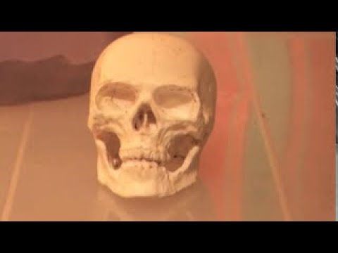 Череп на ручку КПП и т.д.