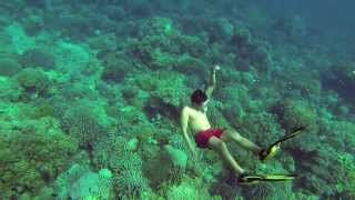 preview picture of video 'GoPro Hero 3 Black Edition Apo Island Underwater'