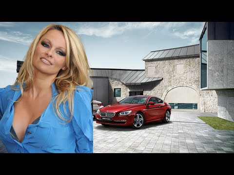 Shy Anderson Net Worth